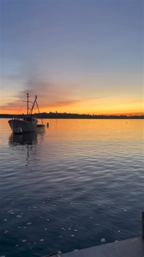 Maine’s wild scallop season is almost here! From December through March, local harvesters take to the sea to drag up some of the sweetest, freshest sea scallops you’ll ever taste. These scallops are wild-harvested straight from the ocean floor—hauled up in metal drags from the ocean floor by hardworking crews. The scallops are shucked by hand right on the boat and delivered FRESH that same day. It’s a tradition that runs deep here along our working waterfronts—from Milbridge to Eastport, Jonespo