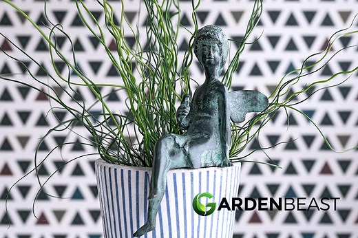 Corkscrew Rush Guide: How to Grow & Care for “Juncus effusus 'Spiralis'”