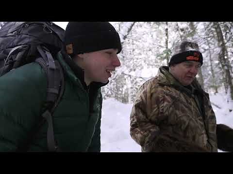 Canada Lynx - Trapping Canada Lynx