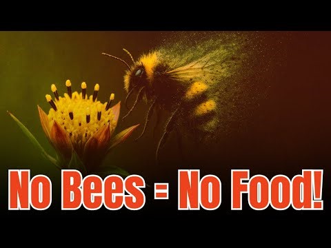 What If Bees Disappeared? The Shocking Truth About Our World Without Bees