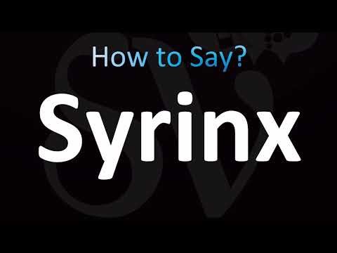 How to Pronounce Syrinx (CORRECTLY!)
