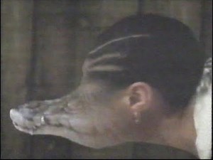 YTV Animorphs Commercial (Jun 1999)