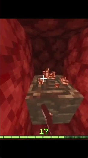 I Tried Sleeping in the Nether 💀😂 | Minecraft # #minecraft #funny #nether
