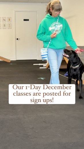 58 reactions · 6 comments | Sign up for our classes here:...