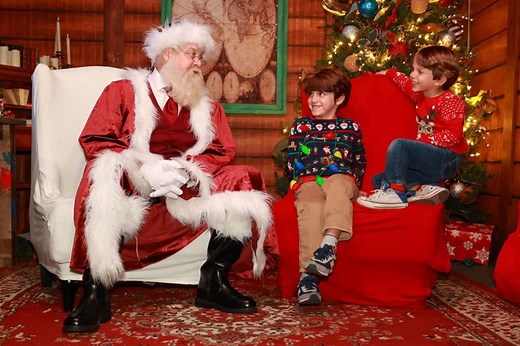 Christmas in the Wild at ZooTampa