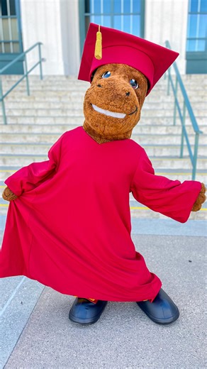 Pasadena City College on Instagram: "Graduation season is right around the corner and Lance O’Lot is getting ready! Are you? Grad Fest is happening THIS Thursday, May 29th at the PCC Bookstore from 10am until 6pm. Stop by to purchase your cap & gown, get commencement information, and purchase PCC memorabilia! We’ve also have a ton of cultural graduations coming up like APIDA Graduation, Black Graduation, Latine Graduation and much more starting this week 🎓 We hope you’ll join us and we can’t wa