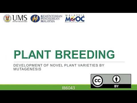 CHEMICAL MUTAGENESIS IN PLANTS