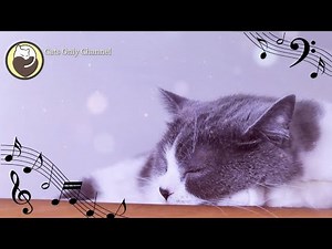 Cat Music - Peaceful Harp Music to Relax and Lull Your Cat to Sleep