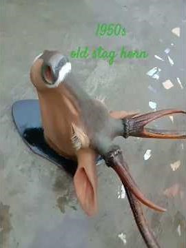 wooden stag head with 1950s old original stag horn
