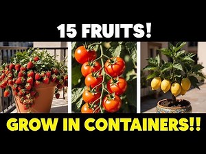 Homegrown Fruits: Easy to Grow & Deliciously Rewarding!
