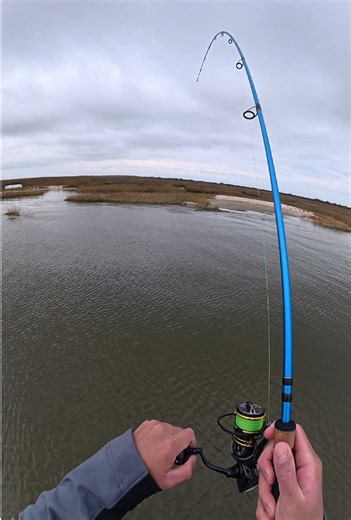 Texas Bass Fishing: One Decision That Changed Everything