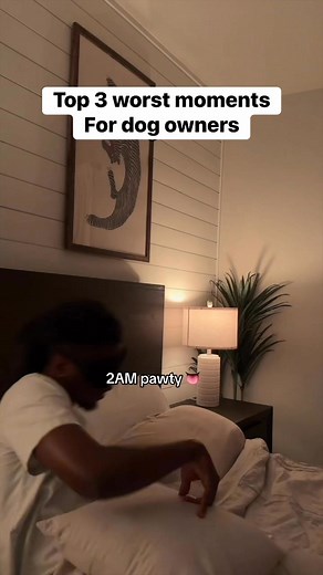 1.1M views · 36K reactions | Any more I miss??藍 #dogsofinstagram #dogs #doggos #funnydogs | Cody Taurus | Facebook