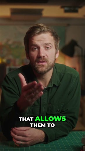 Fascism: How Leaders Dismantle Democracy From Within #shorts