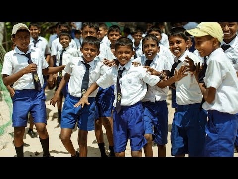 School boy tiffin time #shortclips. #long video