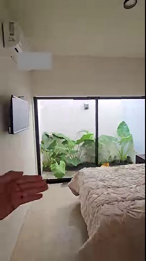 47K views · 1.1K reactions | Las MEJORES OFICINAS con ÁREAS VERDES y...