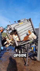 725K views · 4K reactions | Chinese people's cow washing machine類 #youtubeshorts #reel #shorts #viral. | Historical Lens | Facebook