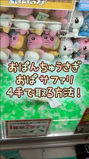 【クレーンゲーム】6/24 ラウンドワンでおぱんちゅうさぎのおぱサファリBIGぬいぐるみを4手で簡単に取る取り方のコツをお見せします！ #shorts