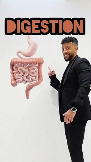 Matt Green on Instagram: "Biology class - Digestion explained #digestion #eating #stomach #intestines #humanbeings #digestivesystem #rappingteacher #exams #revision #gcse #stem #school #science #combinedsciencegcse #biology"