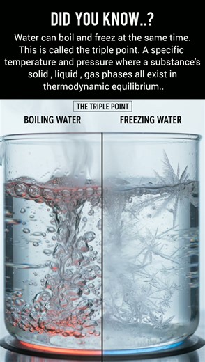 The triple point #amazing #science #sciencefacts #knowledge