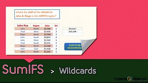 SUMIFS function: Wildcards * | MyExcelOnline