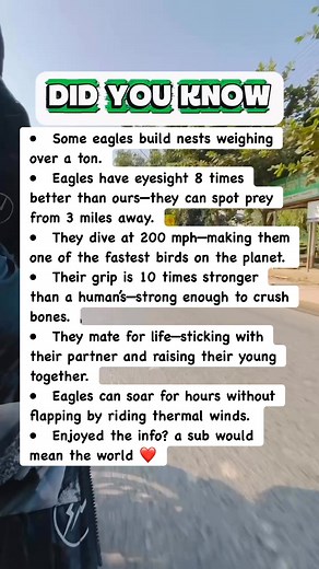 Incredible Eagle Facts: Nature’s Perfect Predator! #facts | Devlop Express