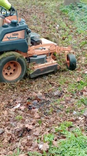 Stand on Lawnmower 🔥💯💯