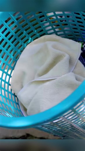 ¿Cómo lavar y compartir la ropa a dos? diálogo cómico sobre lavar y comprar
