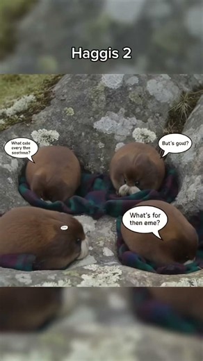 I AM THE HAGGIS IN DISGUISE 2