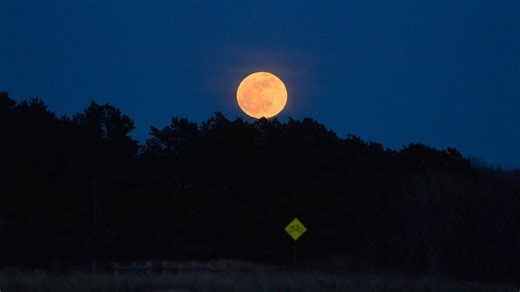 Why is April's full moon called the 'Pink Moon?' What to know about the full moon