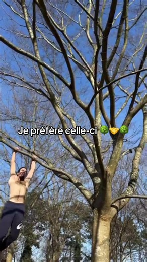 Gibbons brachiation skills training in the trees 🌳🤝🌳
