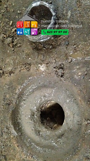 3.1K views · 74 shares | ‍♂️ tienes pequeños trabajos de paletería?...