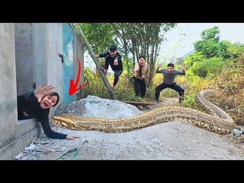 Brave Hunter Rescue Ethnic Girl Attacked by Giant Python in Abandoned House