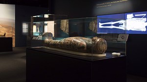 30K views · 311 shares | ‘To stare into a face from the distant past is a unique opportunity’ – Daniel Antoine, Curator of Physical Anthropology, British Museum. Discover how CT scans have allowed us to virtually see beneath the wrappings of mummies in our touring exhibition, now at the Powerhouse Museum in Sydney https://maas.museum/event/egyptian-mummies-exploring-ancient-lives/ | British Museum | Facebook