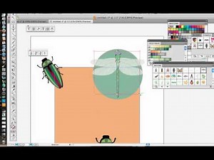 Clipping Masks in Illustrator CS5