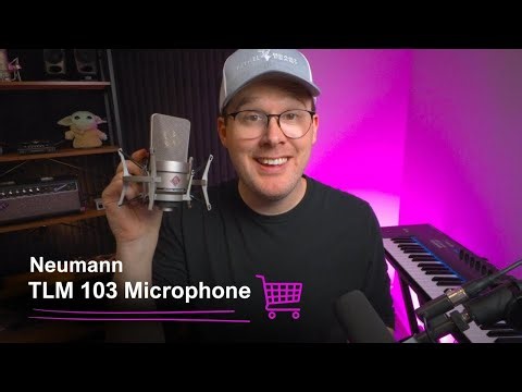Neumann TLM 103 Microphone