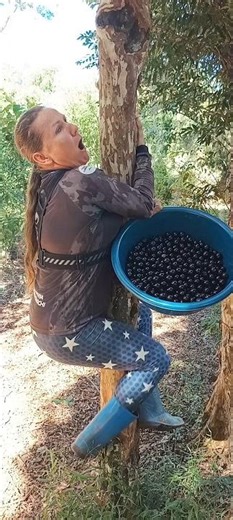 Chupando Jaboticaba agarrada no pé. 😂 #comédia #jaboticaba #roça