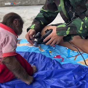 Smart Cutis beg drag adoptive dad go take relaxing bath with him #MCVNetwork #MCVGroup #MCVMedia #cutis | Top Performance Firm