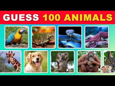 Guess the Animal 🐾 | 100 Animals Challenge for Kids