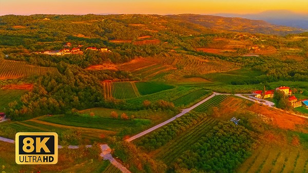 High-Fidelity 12K HDR at 240FPS – Dolby Vision™ ULTRA HD Test for 4K & 8K Display Performance