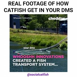 1K views · 16 reactions | Some new insider footage of how the catfish get to your DM's . Who else is fed up with all these catfish finding your account? | SocialCatfish.com | Facebook