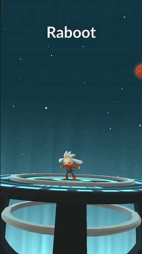 Scorbunny to evolve Raboot //#pokemongo