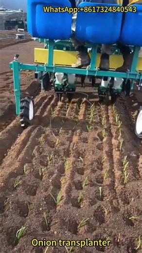 Efficient Onion Transplanter in Action | High-Speed Automatic Seedling Planting Machine