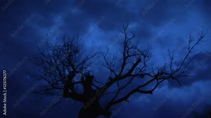 Mystic Night Time Lapse with Ghost Tree. Ideal for horror and Halloween.