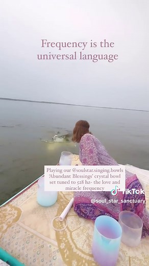 Singing with Whales: A Journey of Sound and Connection