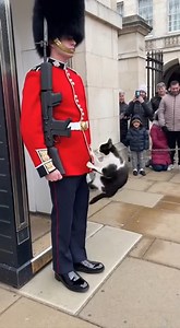 A funny clip shows a cat reaching for a toy near the bathtub. Suddenly, it slips and falls inside, splashing around in surprise as onlookers laugh and record the chaotic moment. *This is generated by AI for entertainment purposes.* #CatFail #BathtubChaos #FunnyAnimals #CaughtOnCamera #ViralVideo #TrendingNow | Chris & Che Media