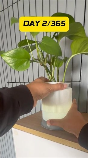 3D Printing LED Motion Sensor Desk Planter #3dprinting #homedecorideas #pinterestaesthetic