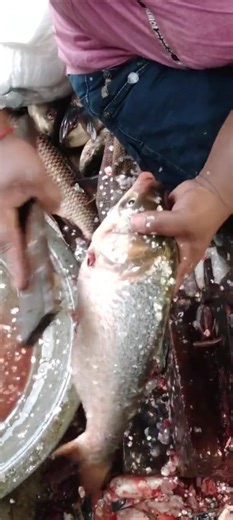 wash the fish #fishing