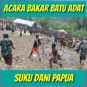 521K views · 526 shares | Acara bakar batu adat suku DANI PAPUA | Batak Media | Facebook