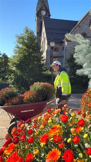 13K views · 360 reactions | Fall isn’t complete without mums  Our...