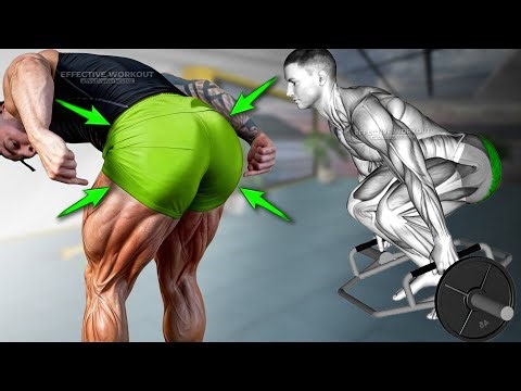 6 Glute Exercises to Perfect Your Legs (Don’t Skip These!)